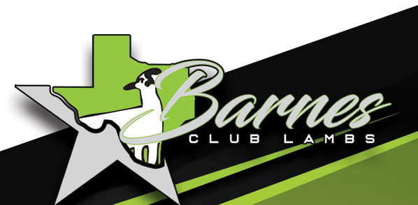 Barnes Club Lambs